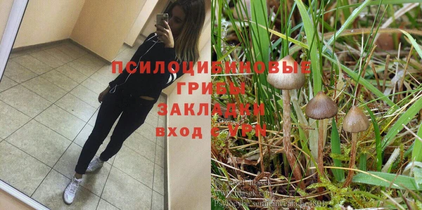 каннабис Богородицк