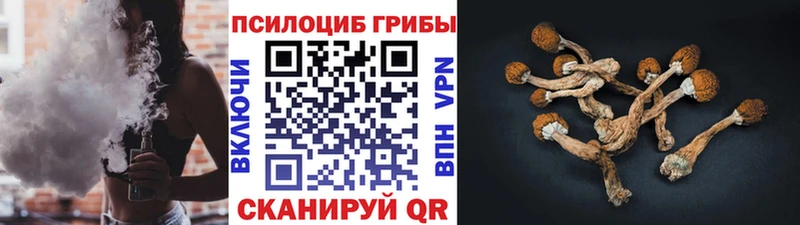 Галлюциногенные грибы прущие грибы  blacksprut ONION  Шадринск 
