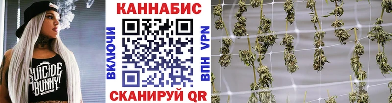 Марихуана планчик кракен маркетплейс Шадринск сколько стоит